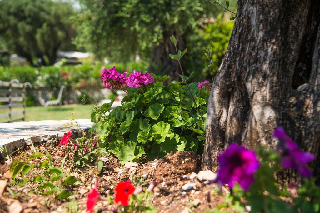 Krouzeri Beach Apartments Nisaki  Chambre photo